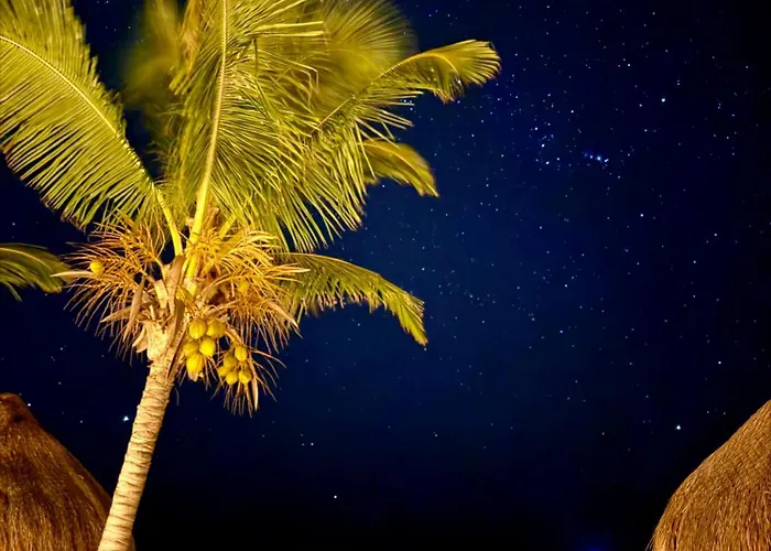 Hotel Sueños 4*