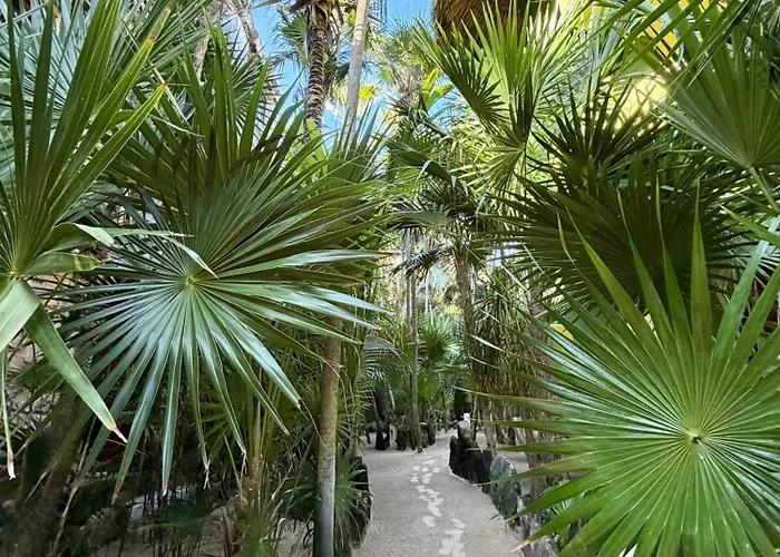 Sueños Hotel Tulum